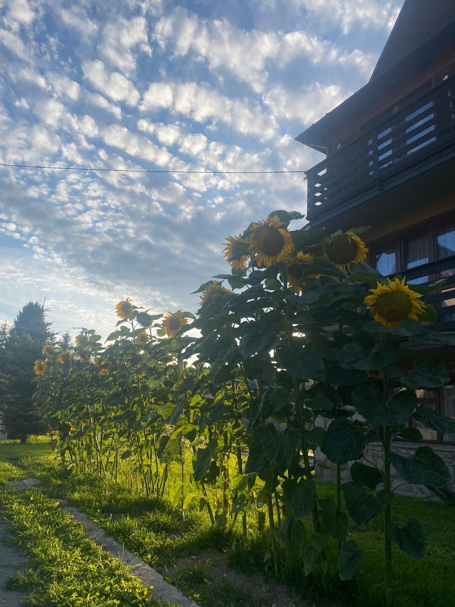 Pokoje Goscinne Maja Bialka Tatrzanska Buitenkant foto